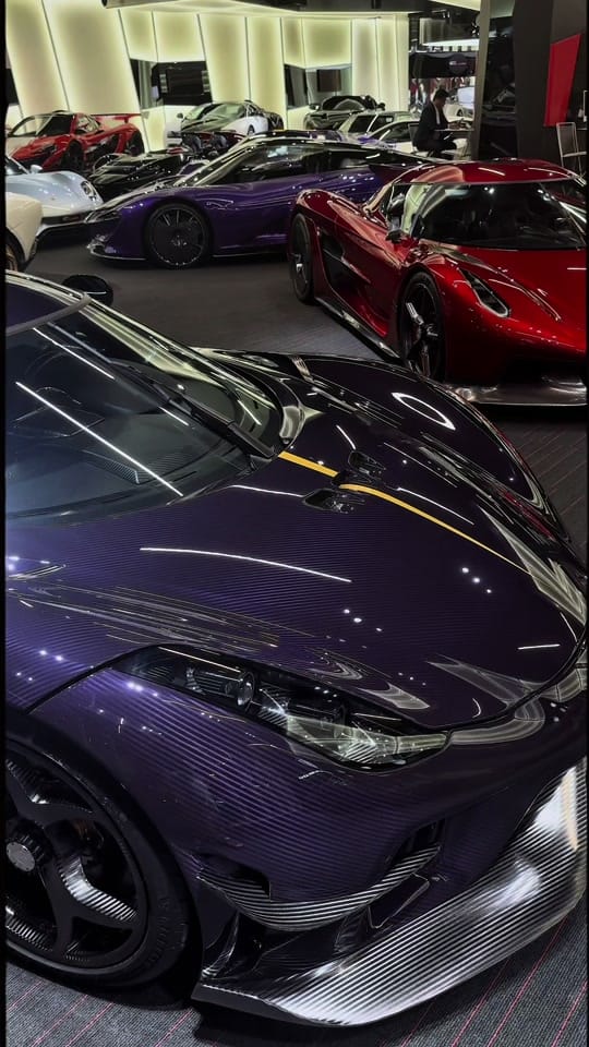 Post 5 by Picardu_cars on TikTok (video)