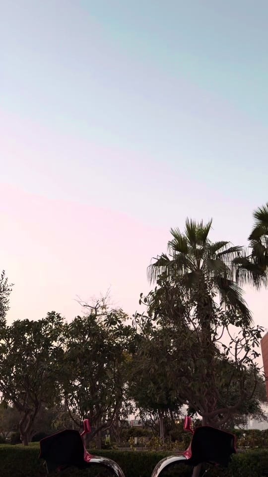 Post 6 by cf.cars on TikTok (video)