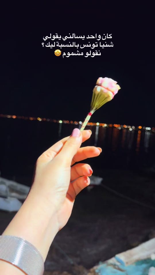 Post 3 by Ben Fredj Wafa on TikTok (video)