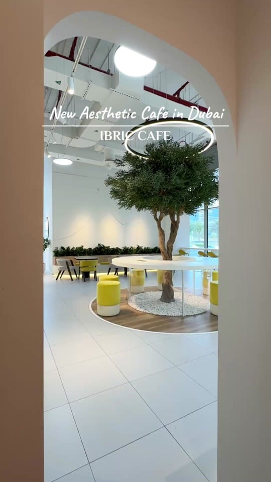 Post 7 by Lady Anne | Content Creator on TikTok (video)