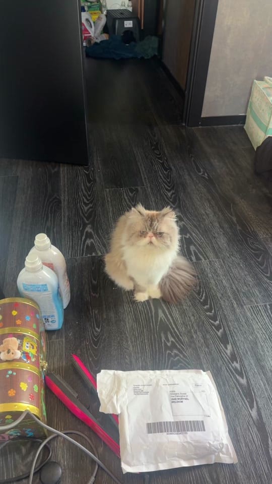 Post 3 by Gz Beauty 👄 on TikTok (video)