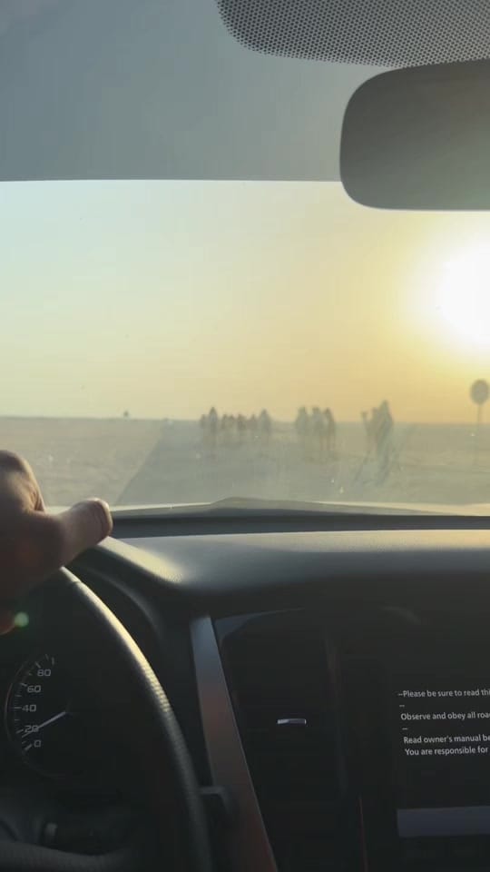 Post 1 by Carl Bryan Portraits and Films on TikTok (video)