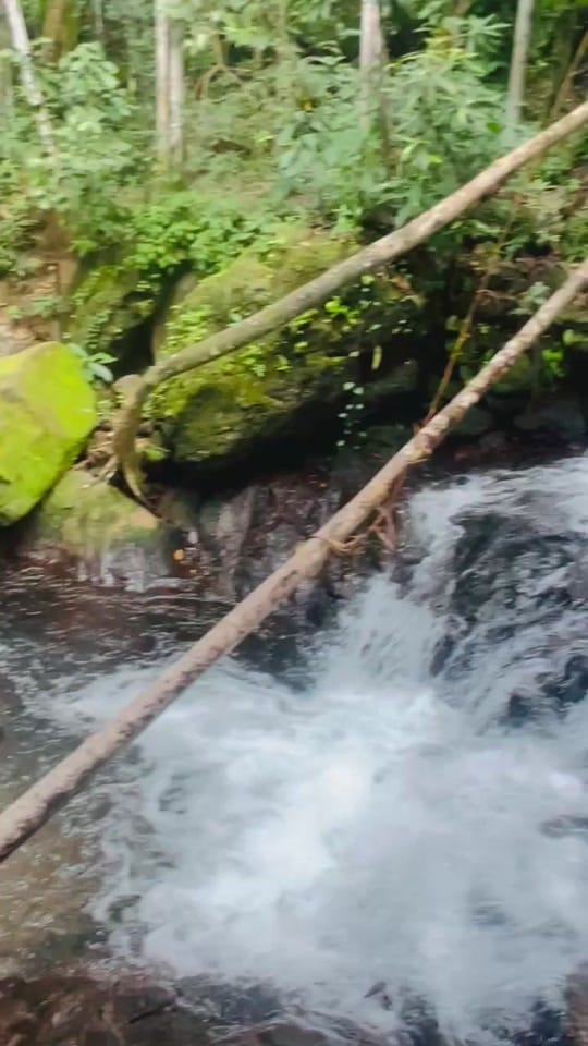 Post 4 by Sreeja Vishwanath on TikTok (video)