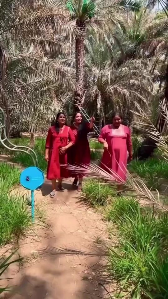 Post 5 by Sreeja Vishwanath on TikTok (video)