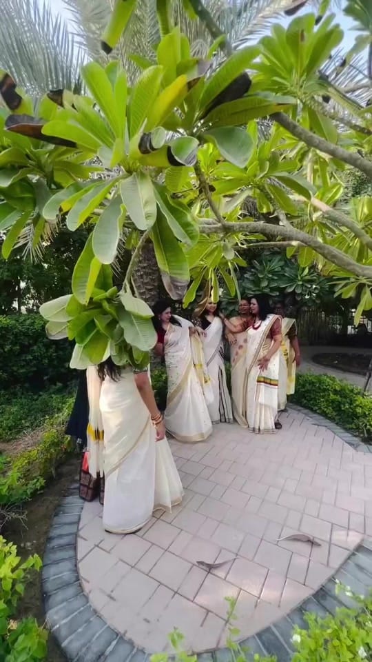Post 1 by Sreeja Vishwanath on TikTok (video)