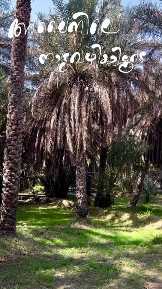 Post 9 by Sreeja Vishwanath on TikTok (video)