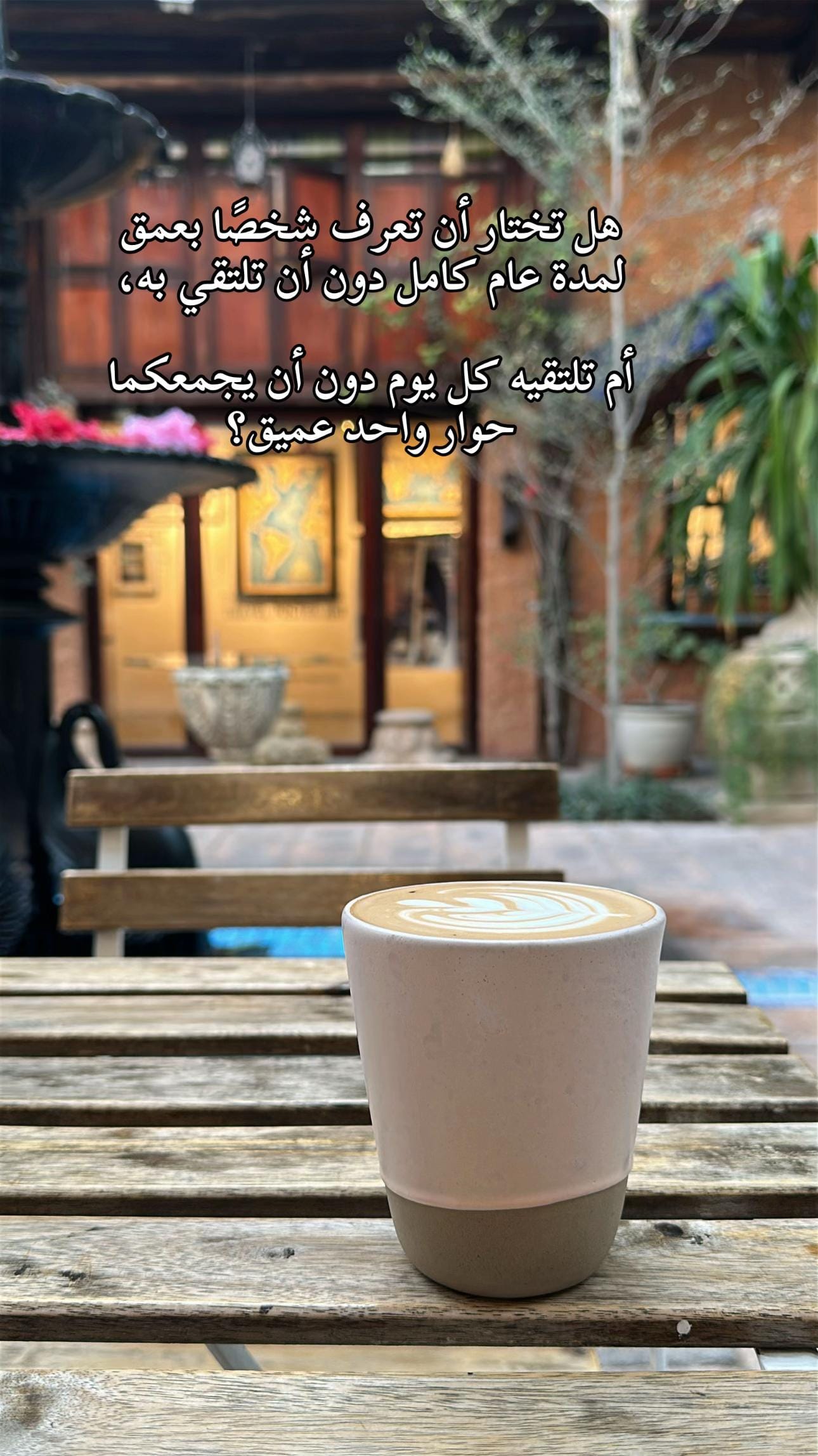 Post 5 by Mariam Elzeny on TikTok (video)