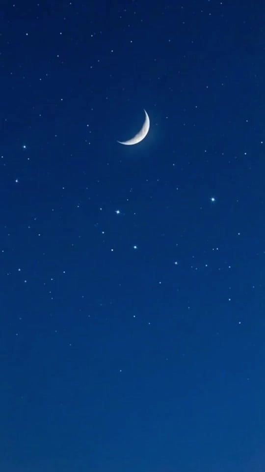 Post 5 by DubaiCulture on TikTok (video)