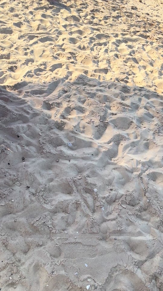 Post 6 by Theesraazidan on TikTok (video)