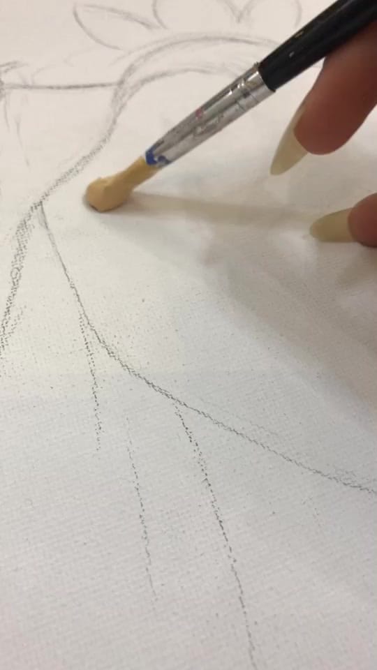 Post 4 by Y on TikTok (video)