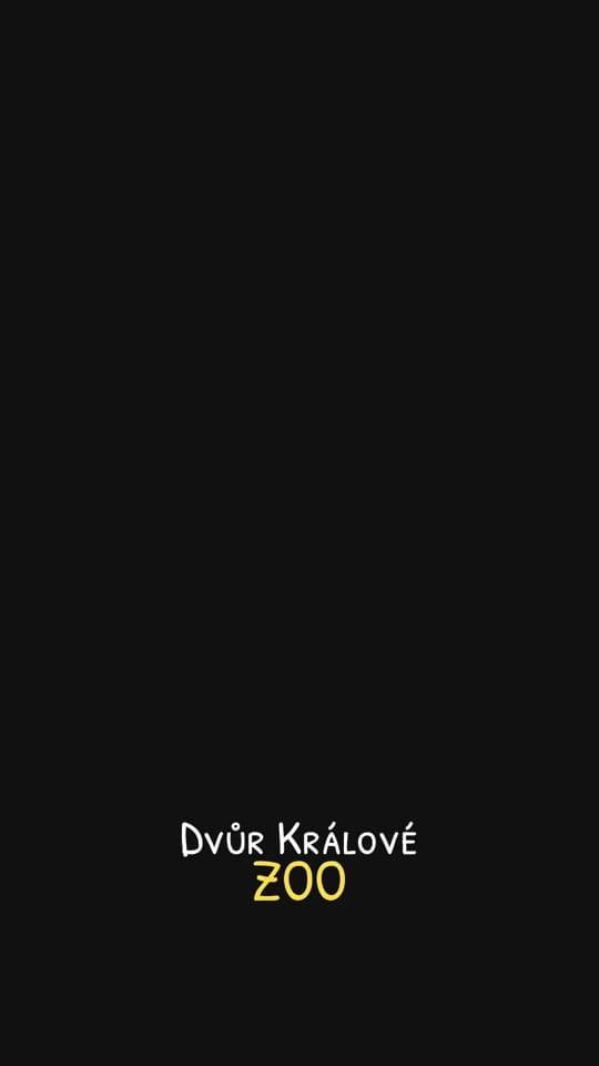 Post 5 by mariuszkedzierski on TikTok (video)