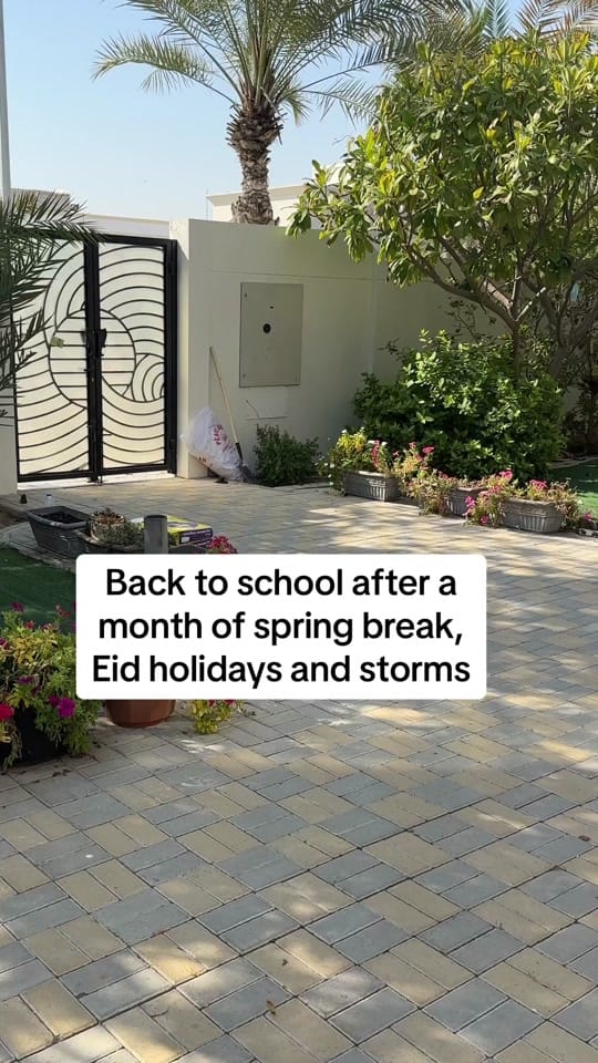 Post 9 by Dina Butti on TikTok (video)