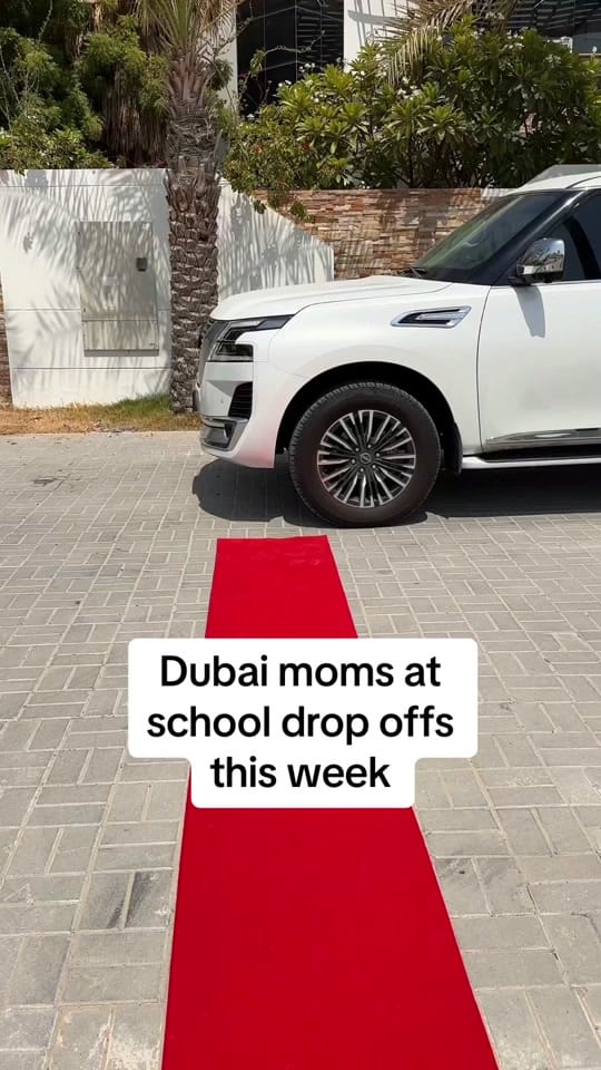 Post 8 by Dina Butti on TikTok (video)