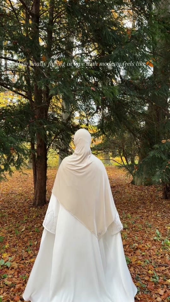 Post 1 by luxyt.abaya on TikTok (video)