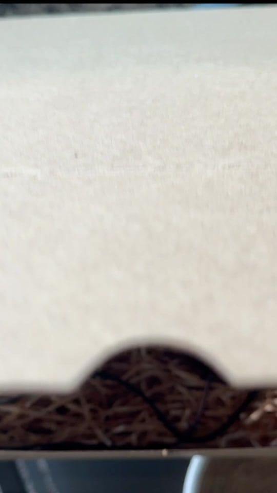Post 8 by Maysoon & Bassam on TikTok (video)