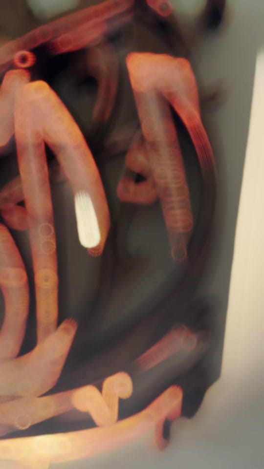 Post 4 by Maysoon & Bassam on TikTok (video)