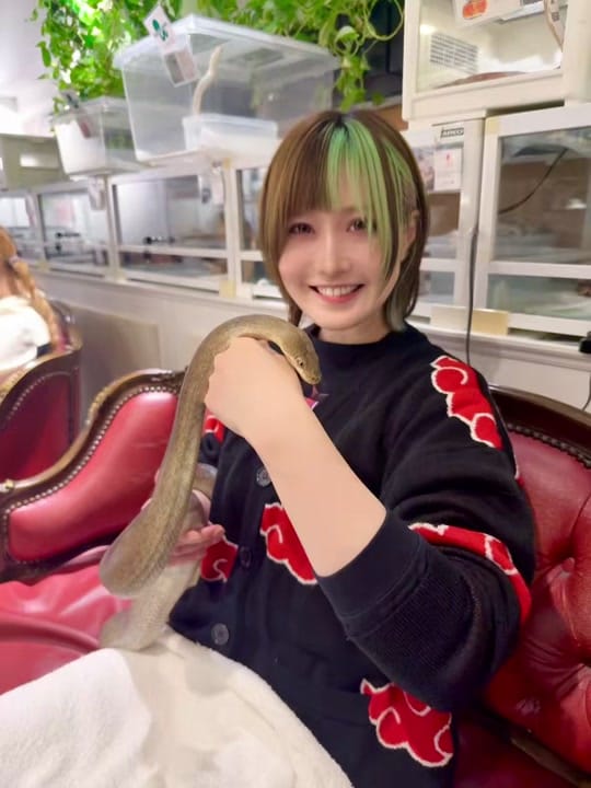 Post 8 by せきぐちあいみAimiSekiguchiأيمي on TikTok (video)
