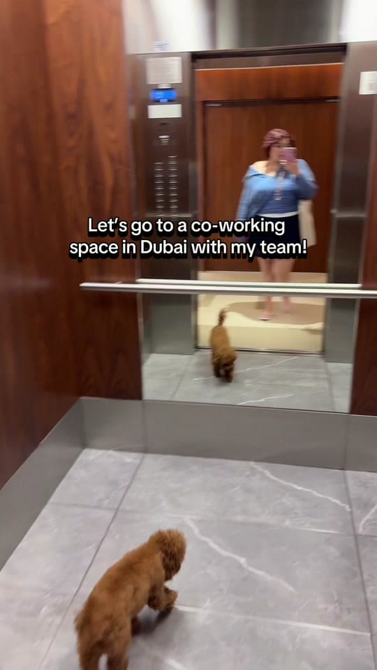 Post 2 by Fara 👩🏻‍💻 | Designtok on TikTok (video)