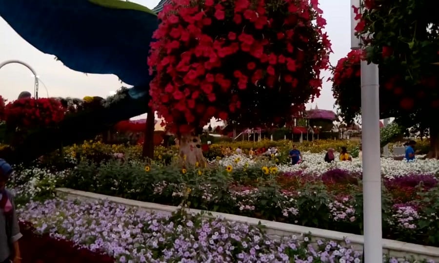 Post 1 by razzushameer on TikTok (video)