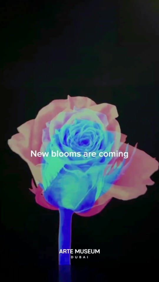 Post 10 by Arte Museum Dubai on TikTok (video)