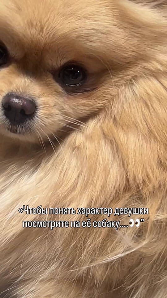 Post 4 by Eventor_Mel on TikTok (video)