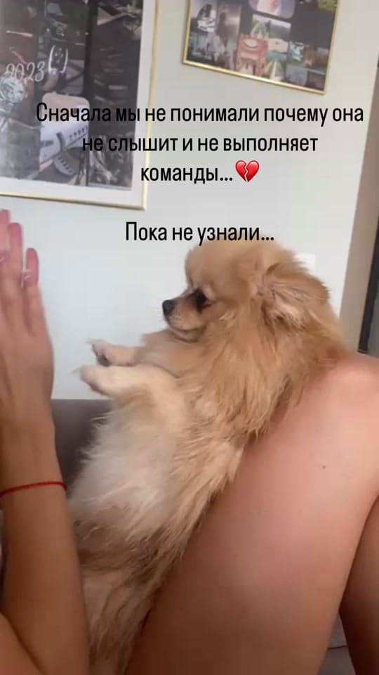 Post 5 by Eventor_Mel on TikTok (video)