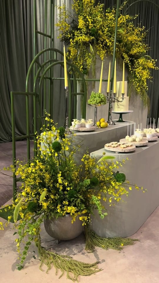 Post 8 by Hala Events on TikTok (video)