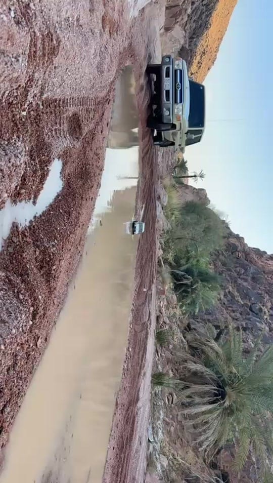 Post 4 by Hobby sportz llc on TikTok (video)