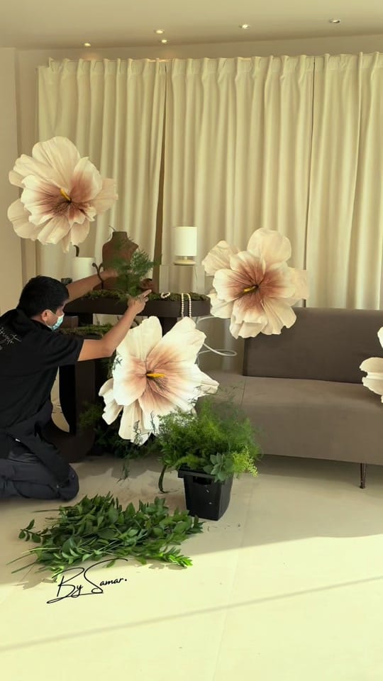 Post 8 by Arigato on TikTok (video)