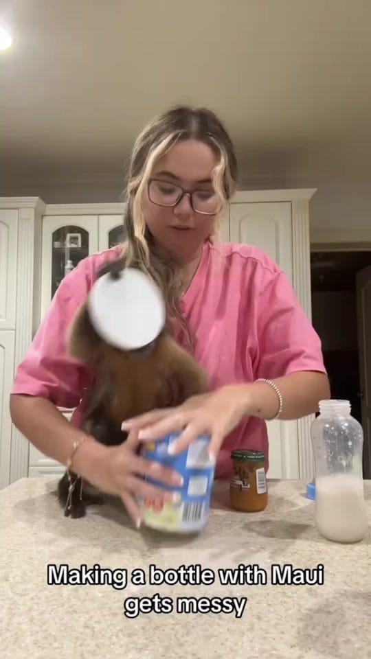Post 8 by THE JUNGLE FAMILY🐒🌴 on TikTok (video)