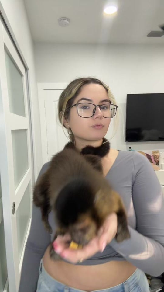 Post 5 by THE JUNGLE FAMILY🐒🌴 on TikTok (video)
