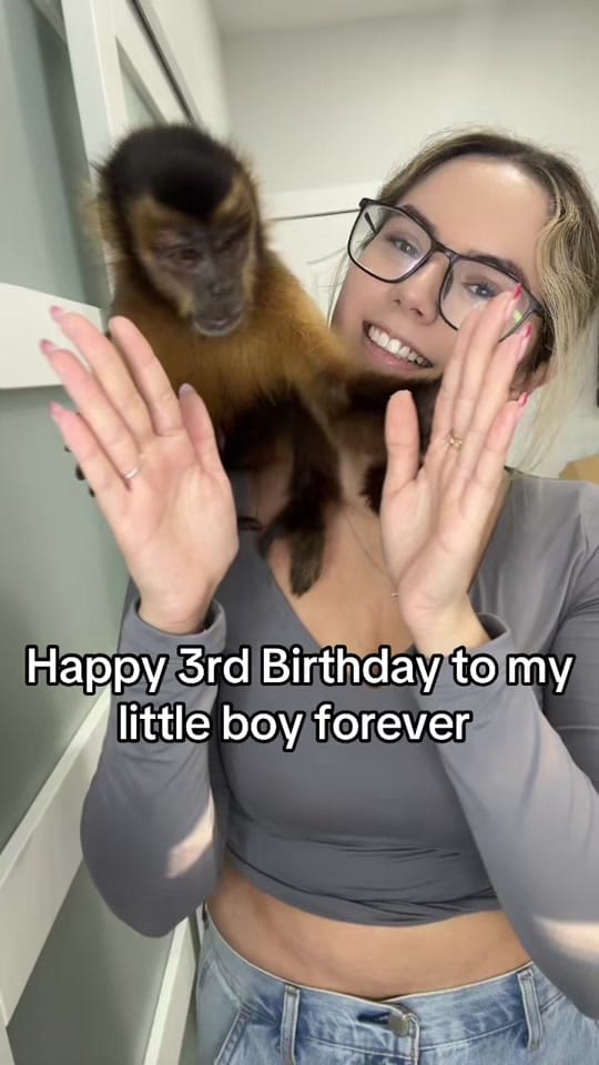 Post 4 by THE JUNGLE FAMILY🐒🌴 on TikTok (video)