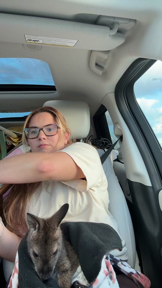 Post 2 by THE JUNGLE FAMILY🐒🌴 on TikTok (video)