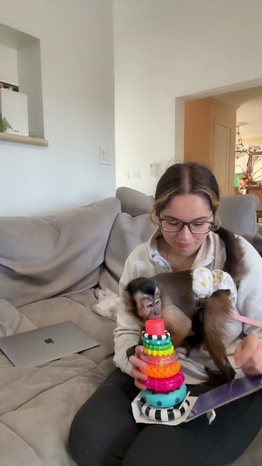 Post 6 by THE JUNGLE FAMILY🐒🌴 on TikTok (video)