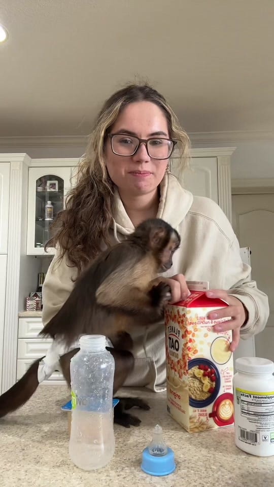 Post 9 by THE JUNGLE FAMILY🐒🌴 on TikTok (video)