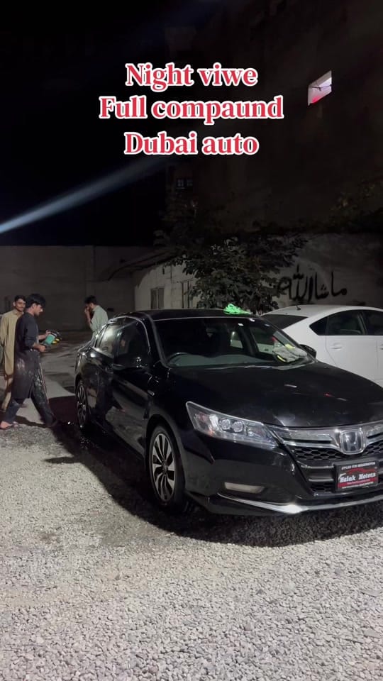 Post 3 by 🔰PROFESSOR🔰 on TikTok (video)