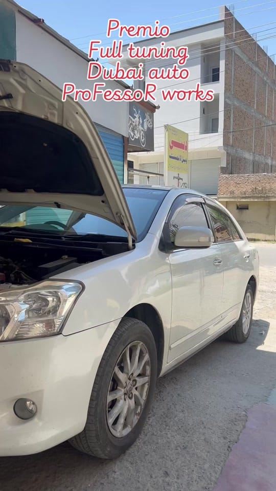 Post 5 by 🔰PROFESSOR🔰 on TikTok (video)