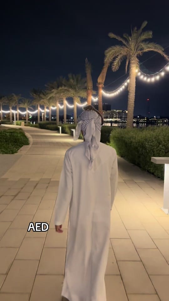 Post 8 by Zayed on TikTok (video)