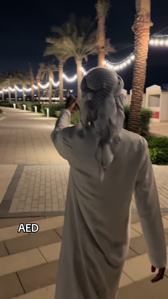 Post 9 by Zayed on TikTok (video)