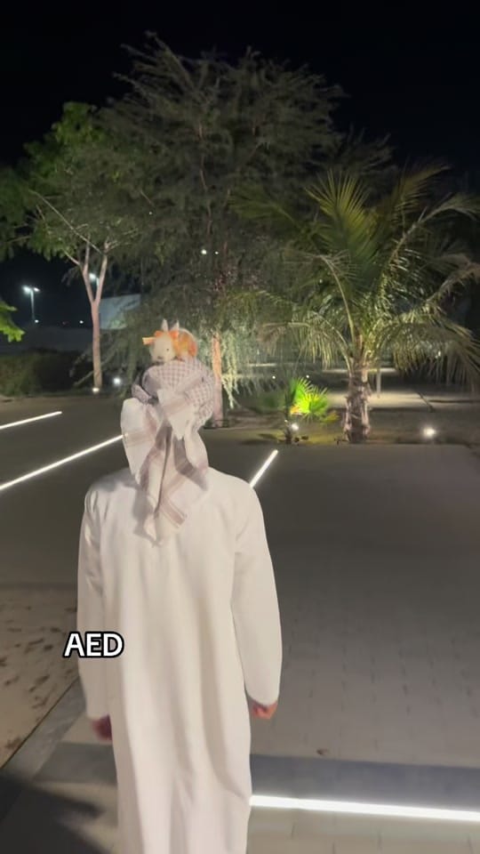 Post 7 by Zayed on TikTok (video)