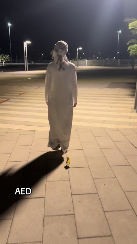 Post 5 by Zayed on TikTok (video)