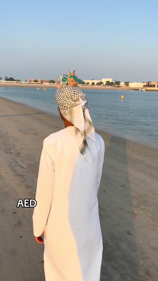 Post 6 by Zayed on TikTok (video)