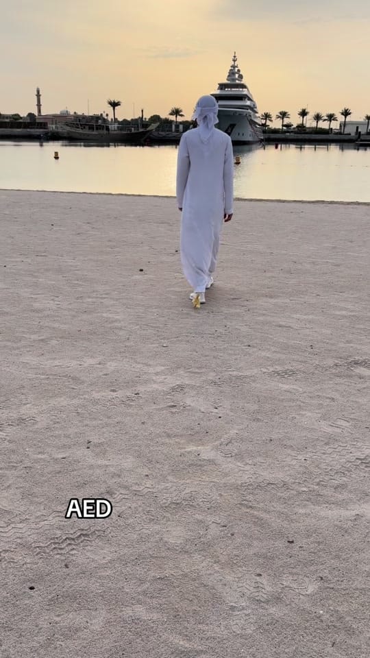 Post 2 by Zayed on TikTok (video)