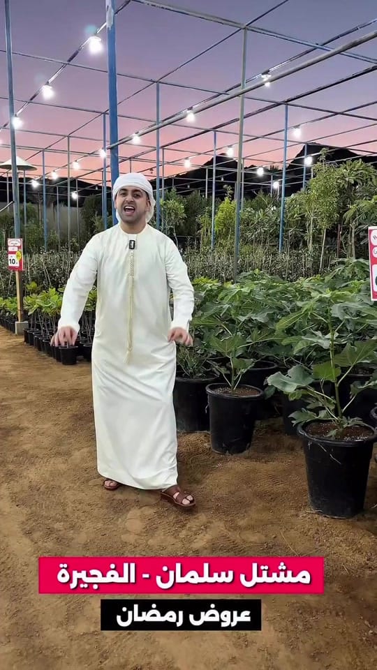 Post 2 by Green Seed Bed Nursery LLC on TikTok (video)