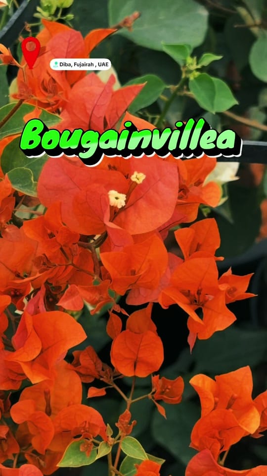 Post 8 by Green Seed Bed Nursery LLC on TikTok (video)