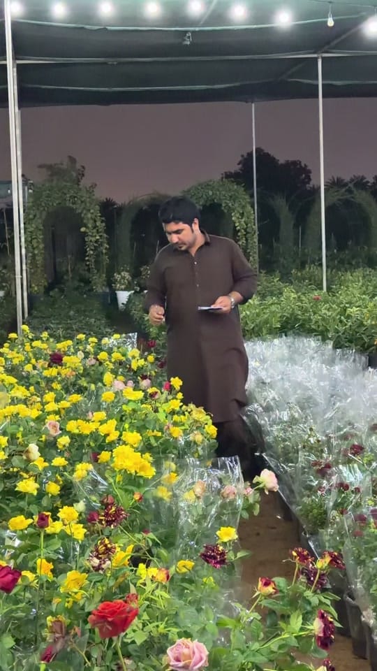 Post 3 by Green Seed Bed Nursery LLC on TikTok (video)