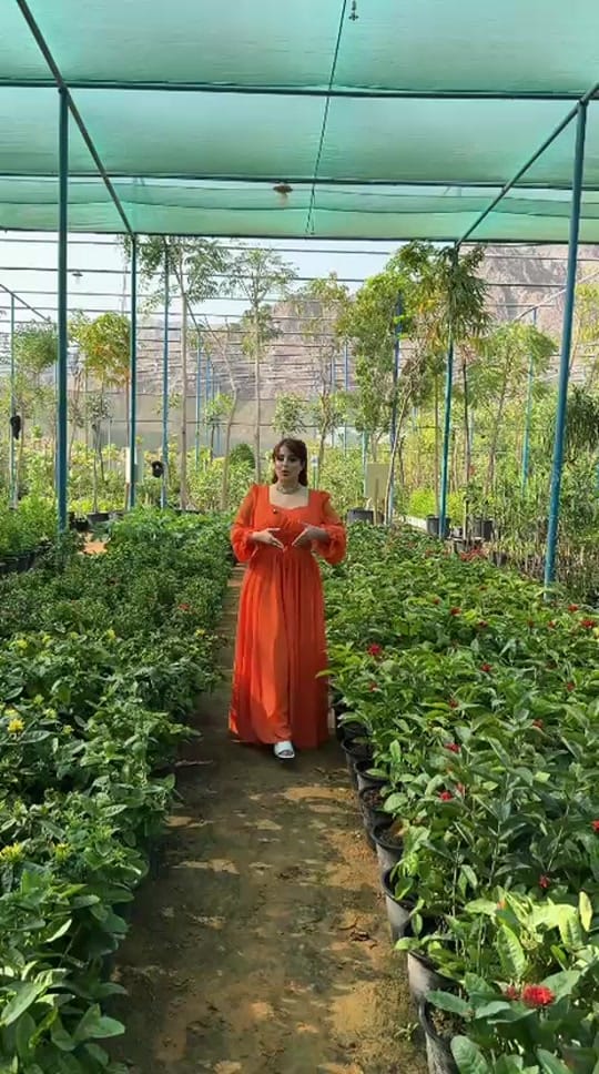 Post 1 by Green Seed Bed Nursery LLC on TikTok (video)