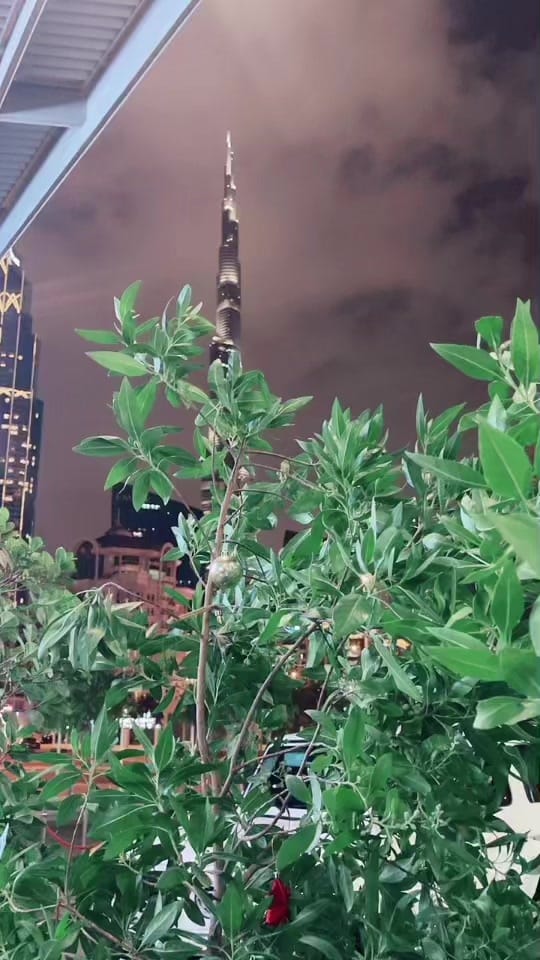 Post 5 by Eatkrave on TikTok (video)