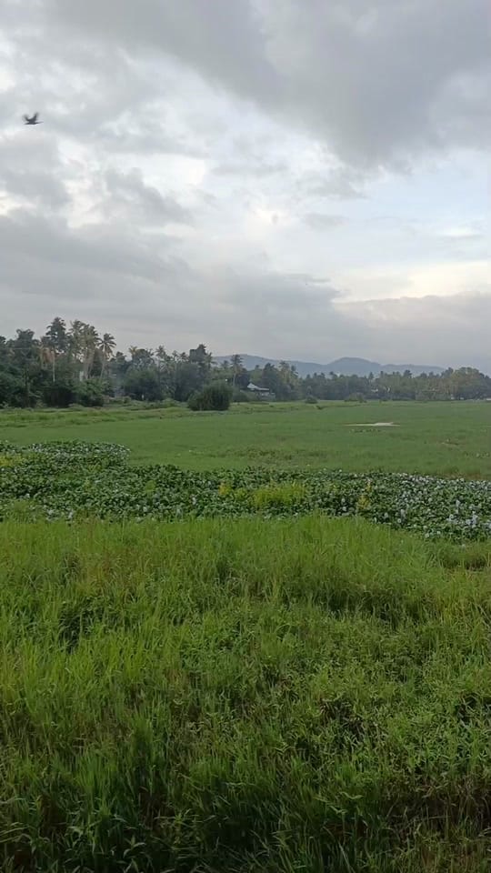 Post 8 by jismy lijo on TikTok (video)