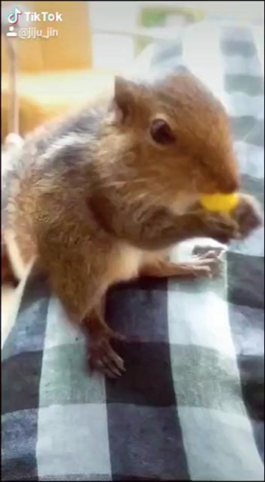 Post 10 by jijith Jayachandra on TikTok (video)